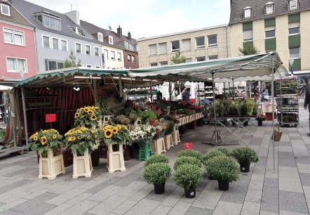 Düren weekly market flower stall, © Win.dn GmbH Düren weekly market flower stall, © Win.dn GmbH