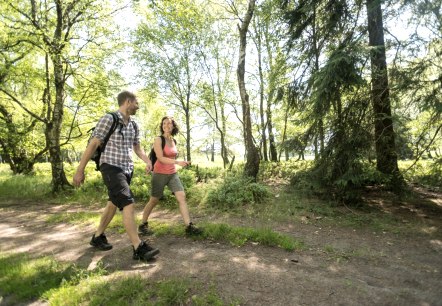 Wandern durch die Natur, © Eifel Tourismus GmbH / D. Ketz Wandern durch die Natur, © Eifel Tourismus GmbH / D. Ketz