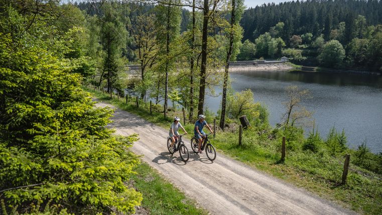 Twee fietsers rijden op een smal pad langs een rustige meer. De omgeving is groen en omringd door bomen, wat een ontspannen natuuratmosfeer creëert.
