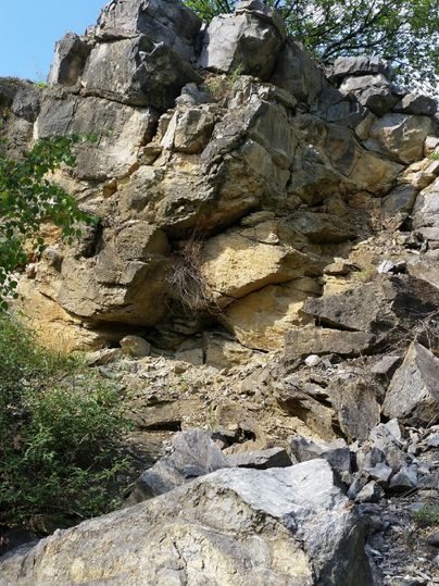 A steep rock with irregular rock formations. Surrounded by grassy areas and some bushes.