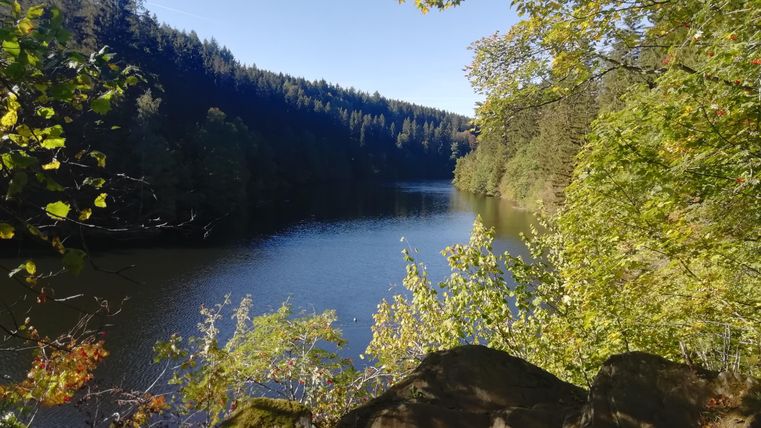 Ein ruhiger Fluss, umgeben von Bäumen und hügeliger Landschaft. Der Himmel ist klar und sonnig.