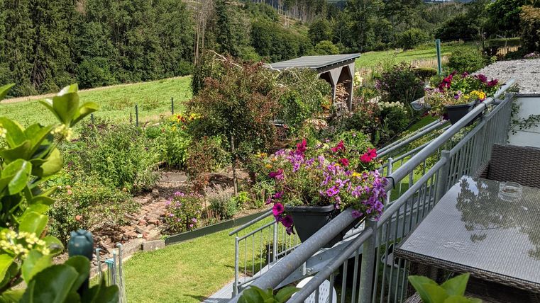 A beautiful garden with colorful flowers and green meadows. In the background, trees and hills can be seen.