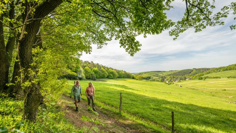 Two people are walking on a well-kept path through a green landscape. Trees and gentle hills create an idyllic setting.