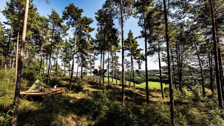Een rustige bos met hoge bomen en veel groen. Op de voorgrond ziet men een tent- of kampeerlandschap.