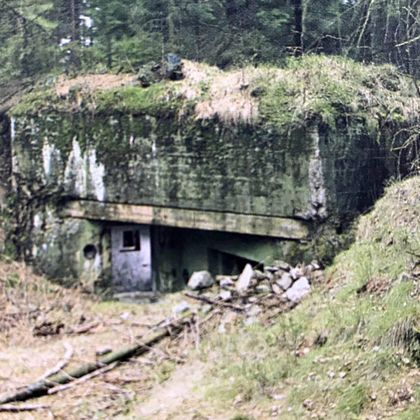 Ein verlassener Bunker umgeben von Bäumen und unberührter Natur. Die Struktur ist moosbedeckt und zeigt Anzeichen von Verfall.