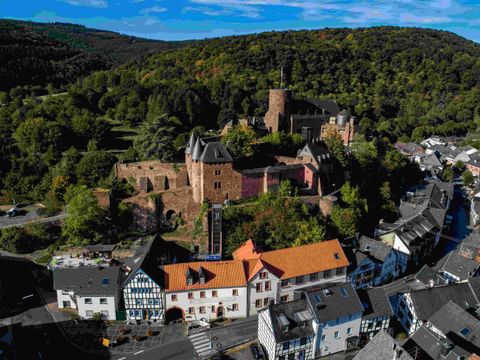 A picturesque landscape with an old castle and charming houses. Green forests surround the settlement under a clear blue sky.