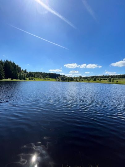 A calm lake under a clear blue sky. Surrounded by green trees and meadows.