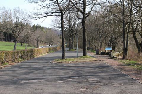 Een rustige straat met kale bomen en uitzicht op een groene wei. Aan de rechterkant staat een informatiebord.