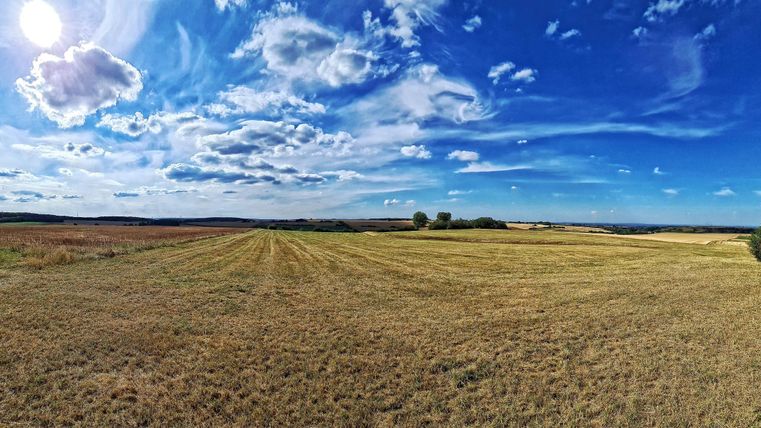 A wide, sunny landscape with golden fields and a blue sky. White clouds drift across the image.