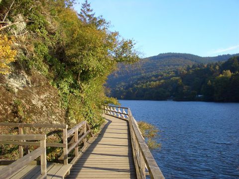 Ein malerischer Holzsteg führt entlang eines ruhigen Sees, umgeben von Bäumen und sanften Hügeln. Der Himmel ist klar und der Herbst zeigt sich in warmen Farben.