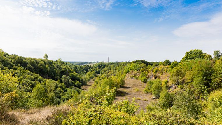 Eine grüne Landschaft mit sanften Hügeln und zahlreichen Bäumen. Der Himmel ist teilweise bewölkt und die Atmosphäre wirkt ruhig und friedlich.