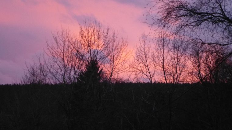 Een prachtige zonsondergang met paarse en roze kleuren aan de lucht. Silhouetten van bomen zijn op de voorgrond te zien.