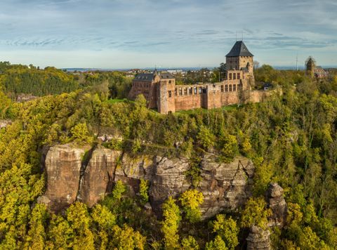 Een indrukwekkende kasteelruïne op een heuvel, omringd door dichte bossen. De lucht is helder en biedt een schilderachtig uitzicht.