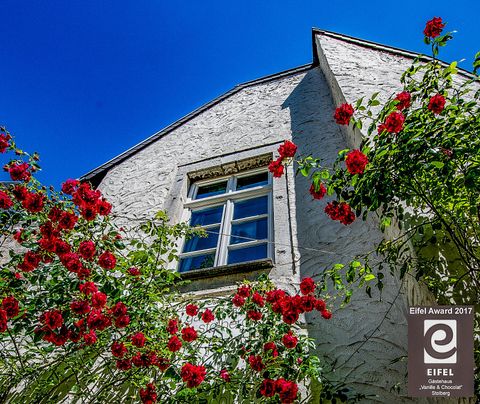 A charming house with white plaster and a beautiful window. Red roses frame the facade and the sky is bright blue.