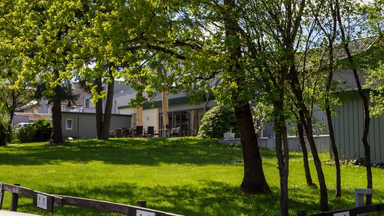 A green meadow with large trees and a building in the background. The scene is bright and inviting, perfect for relaxing moments outdoors.