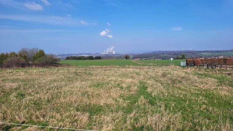 Ein weites Feld mit hohen Gräsern und vereinzelten Bäumen. Im Hintergrund sind Industrieanlagen und ein blauer Himmel zu sehen.