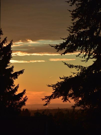 Een mooie zonsondergang achter bomen. De lucht is verlicht in warme kleuren.