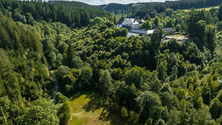 Eine grüne Landschaft mit dichten Wäldern und einem klaren Himmel. Im Hintergrund ist ein großes Anwesen zu sehen, umgeben von Bäumen.