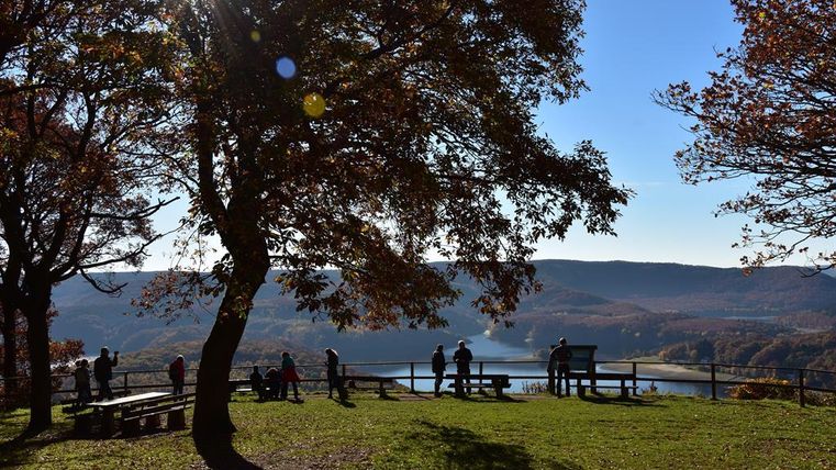Ein schöner Aussichtspunkt mit Bäumen und einer malerischen Landschaft. Menschen genießen die Aussicht auf den Fluss und die Hügel im Hintergrund.