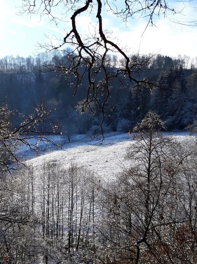 Een besneeuwd landschap met besneeuwde velden en bomen. De lucht is helder en blauw, wat een mooi contrast biedt met het witte winterlandschap.