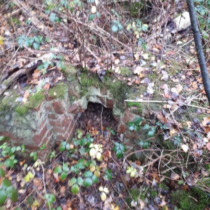A dilapidated masonry in the forest, surrounded by dense bushes and autumn leaves. The remains seem to have been reclaimed by nature.