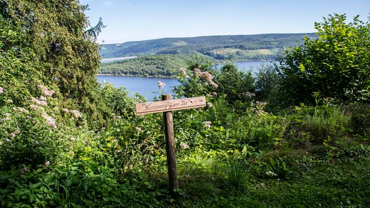 A picturesque view of a lake, surrounded by green trees. A wooden sign points to a hiking trail.