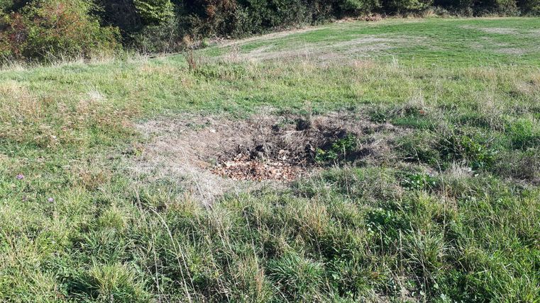 Een leeg perceel met hoog gras en enkele droge bladeren. Op de achtergrond zijn bomen te zien.