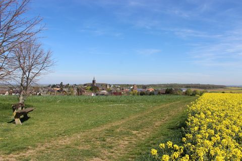 A peaceful landscape with a blooming field and a small village in the background. The sky is blue and clear.