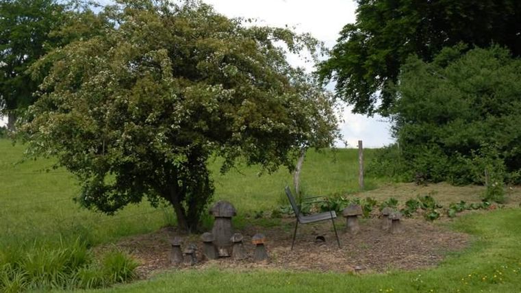 Een rustige tuinruimte met een grote boom en een houten stoel. Rondom de boom zijn kleine paddenstoelen en een verscheidenheid aan planten te zien.