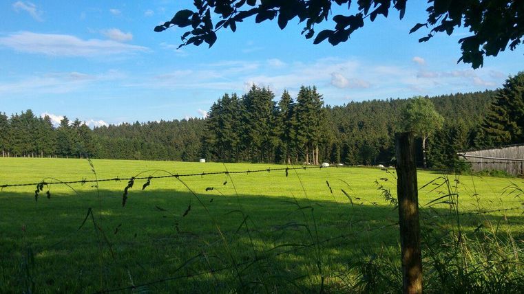Een groene weide met een draadhek en bomen op de achtergrond. De lucht is helder en het is een zonnige dag.