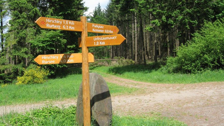 Een wandelbord in het bos op een kruispunt. Het toont richtingen en afstanden naar verschillende bestemmingen.