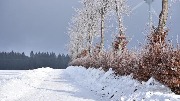 Een met sneeuw bedekte weg leidt door een winterlandschap. Op de achtergrond zijn bomen en een windmolen te zien.