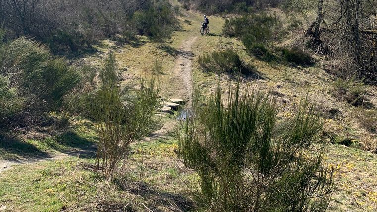 A sunny hillside path surrounded by bushes and grass. In the background, a person can be seen walking up the path.