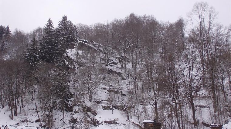 A snowy landscape with trees and a wooded hillside. In the foreground, roofs of houses are visible.