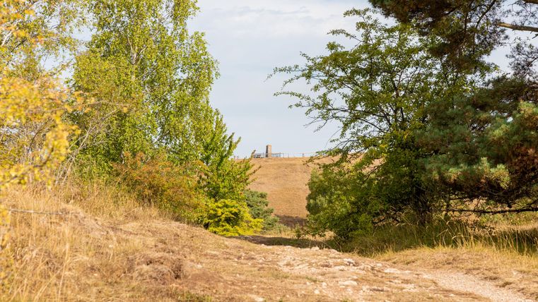 Een smal pad leidt door een herfstlandschap met bomen. Op de achtergrond is een heuveltop met een bouwwerk zichtbaar.