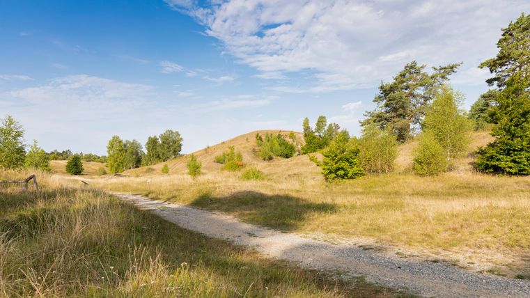 Een uitgestrekt, vredig landschap met glooiende heuvels en een grindpad. Af en toe staan er bomen en de wolken zijn zichtbaar in de blauwe lucht.