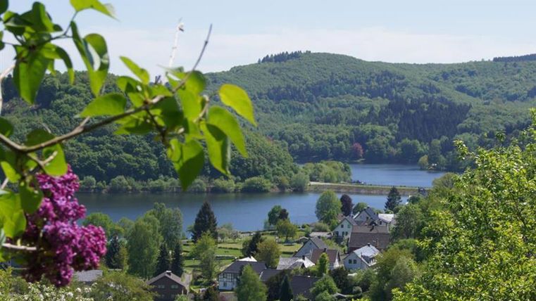 Eine malerische Landschaft mit einem See und sanften Hügeln. Im Vordergrund blühen violette Pflanzen und es sind einige Häuser sichtbar.