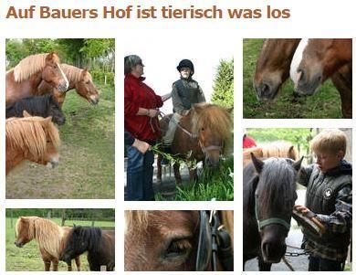 A farm with numerous ponies and children interacting with them. The animals are in a green environment and there are activities like riding and feeding.