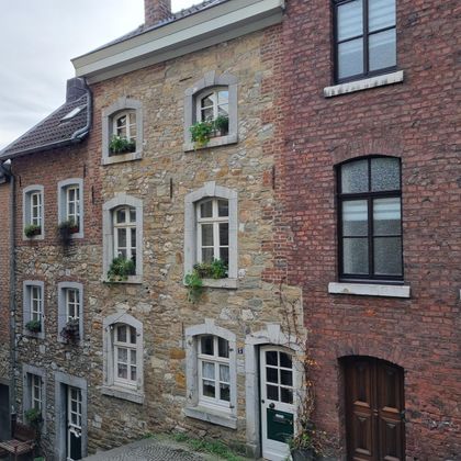 Historische huizen van steen en baksteen met vensters en planten zijn te zien. De charmante architectuur straalt een nostalgisch sfeer uit.