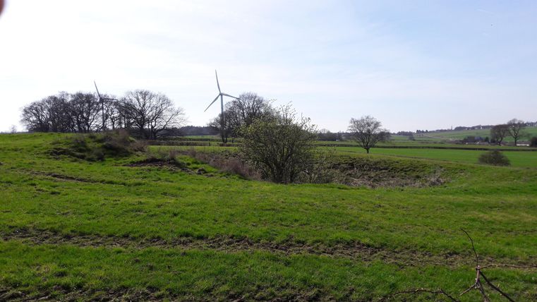 Eine ruhige Landschaft mit grünen Wiesen und vereinzelten Bäumen. Im Hintergrund sind Windkraftanlagen und ein klarer Himmel zu sehen.