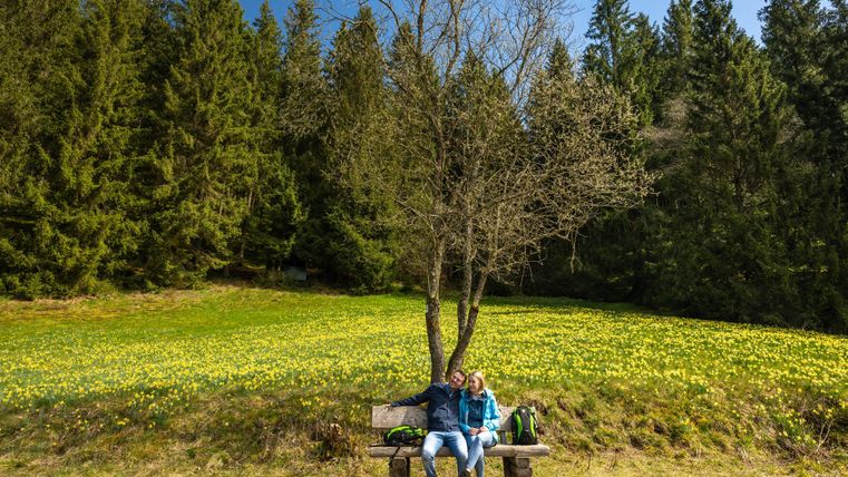 Two people are sitting on a bench under a tree, surrounded by a blooming meadow. In the background, tall trees and a clear sky can be seen.