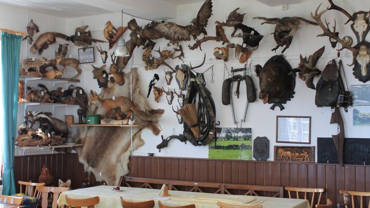 A rustic room with wooden tables and chairs. Various hunting trophies and animal skins hang on the walls.