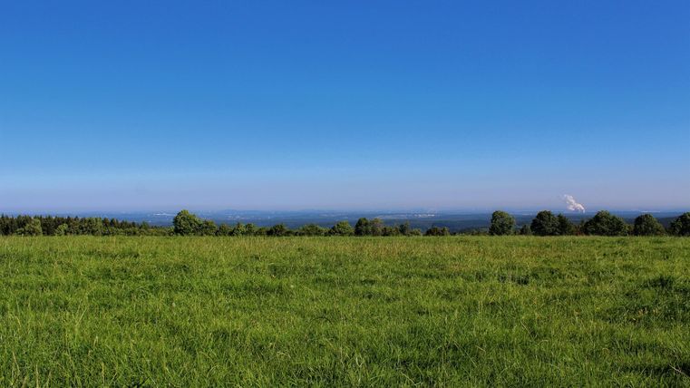 A green meadow under a clear blue sky. In the background, the sea can be seen.