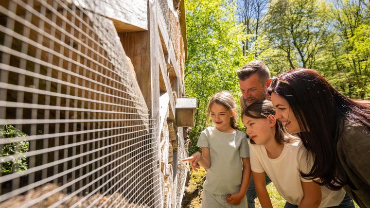 Eine Familie schaut begeistert auf Tiere hinter einem Zaun. Es ist ein sonniger Tag und die Natur um sie herum ist grün und einladend.