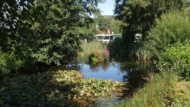A tranquil pond surrounded by lush greenery and trees. In the background, there is a building and blooming plants.