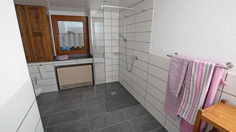 Ein modernes Badezimmer mit grauen Fliesen und einer gläsernen Dusche. An der Wand hängen zwei Handtücher in sanften Farben.