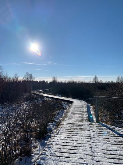 A sunny wooden path leads through a snowy landscape. The clear blue sky and the shining sun create a peaceful atmosphere.