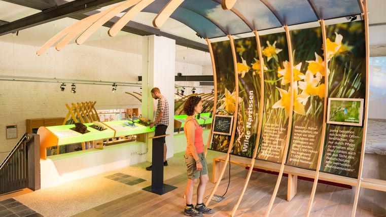Een moderne tentoonstellingsruimte met informatieve panelen en interactieve elementen. Bezoekers verkennen de tentoonstelling en leren over verschillende onderwerpen.