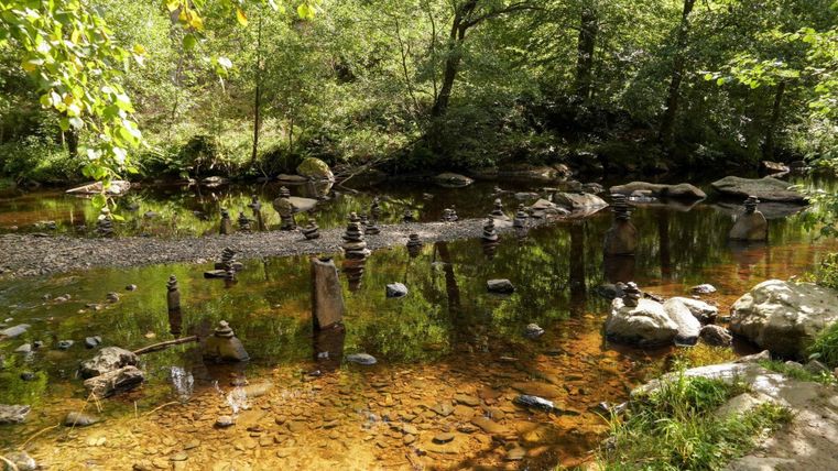 Ein ruhiger Bach fließt durch einen Wald mit vielen Bäumen. Auf Steinen sind mehrere kleine Petra-Stapel zu sehen.