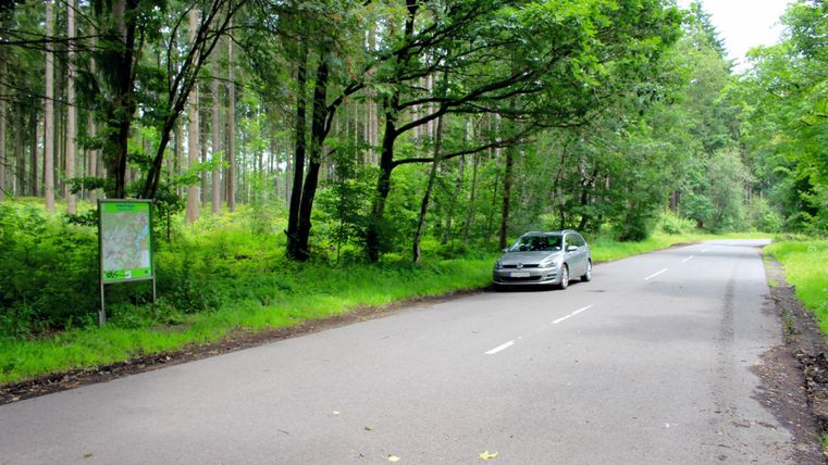 Een rustige straat in een bos met veel groene bladeren. Een auto staat aan de kant van de straat.